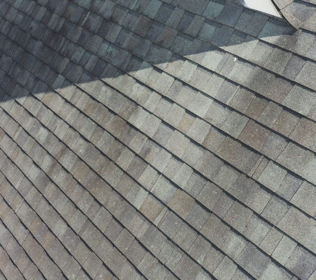 stains on shingle roof